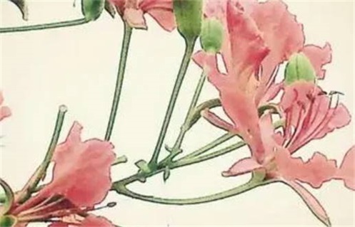 2029年06月05日出行黄历查询 2029年06月05日出行黄历查询