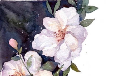 2027年02月27日出行黄历查询 2027年02月27日出行黄历查询