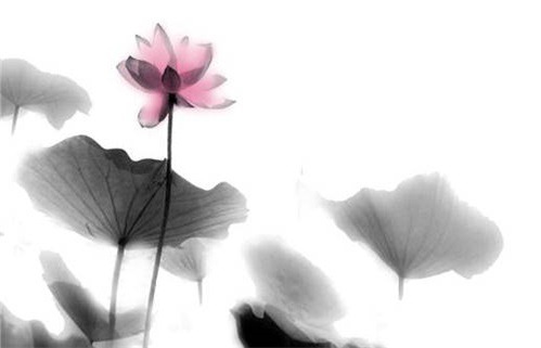 今天农历二〇三三年七月初四黄历启程不适宜吗,出行吉日