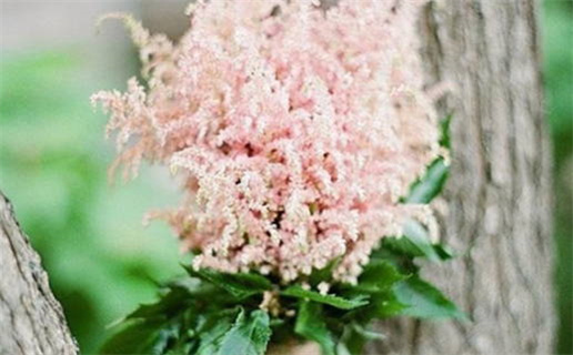 免费姓名配对算命服务查询测算助你洞察命运