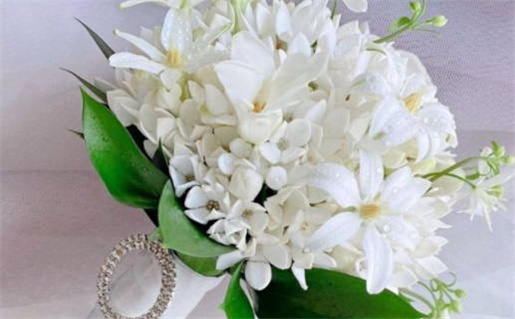 生日书,365生日密码,生日算命,算命找工作(366生日书)