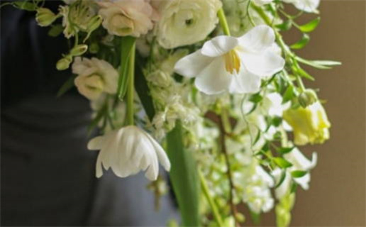 算命婚姻树解析揭示你的爱情命运与婚姻关系