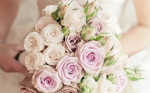 周易算命婚姻属相解析助你找到理想伴侣