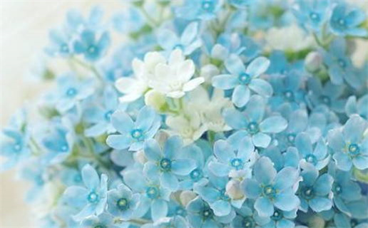 1955年05月25日出生的人的性格命运(1955年5月25日是什么命)