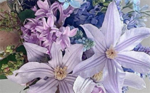 小度黄道吉日是什么意思(小度小度黄道吉日)