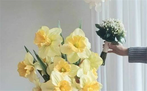 谢姓女孩,五行补水(缺水喜水)的名字(谢姓女孩缺水取名大全文雅)