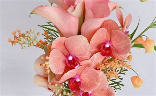 结婚黄道吉日查询化妆品_结婚黄道吉日一览表