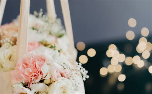 免费起名网(免费起名网生辰八字取名)