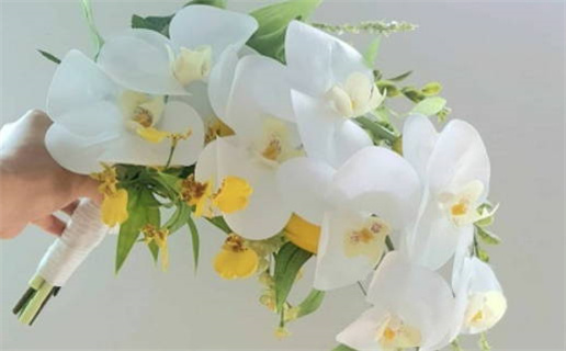 1924年04月03日出生的人性格与命运解析