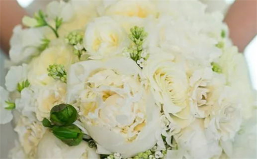 八字纯阳解析与其独特特点分析