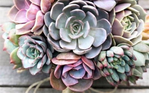 什么叫黄道吉日良辰(什么叫黄道吉日良辰吉时)