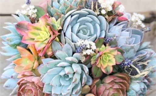 甲子甲戌甲子甲戌,生辰八字命盘分析详解,免费算命_甲子戌是什么意思