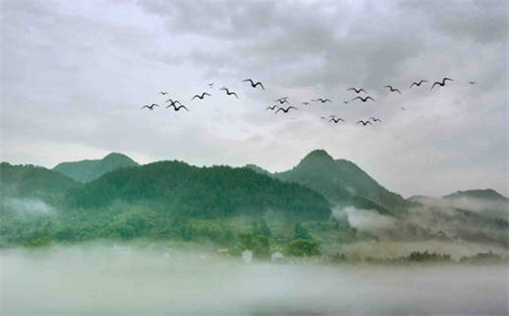 属兔人情感倾向与最佳适配对象深度分析