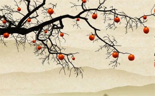 2031年5月6日动土宜忌分析：不宜动土的深入解读与建议