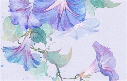 2029年02月01日动土黄历查询