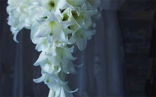 2031年11月28日结婚黄历查询 2031年11月28日结婚黄历查询