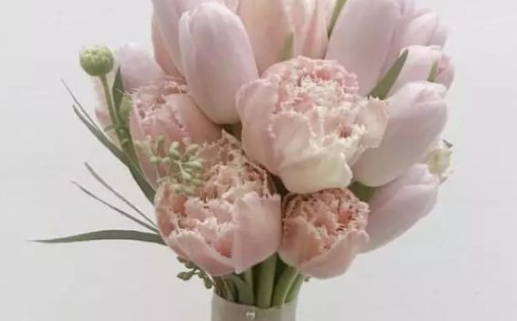 2026年12月19日结婚黄历查询 2026年12月19日结婚黄历查询