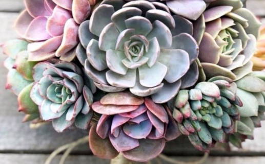 2028年10月18日领证黄历查询