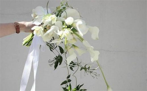 2031年01月09日不适宜领结婚证吗,领证吉日查询