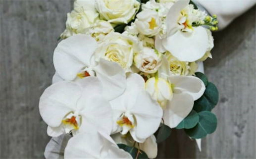 2034年04月16日老黄历适合办证吗