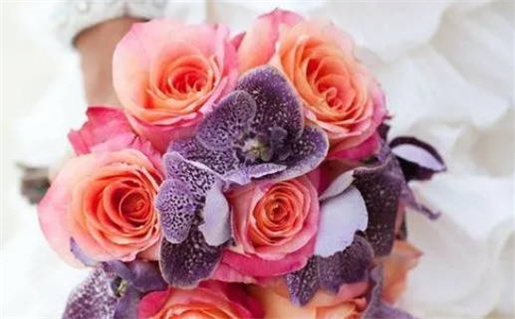 2030年10月08日领证黄历查询