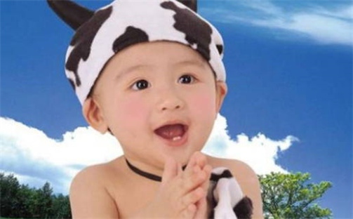 何姓女孩子取名