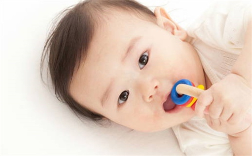 张姓女孩子取名