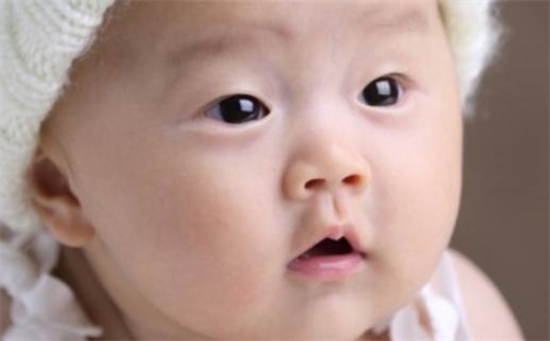 朱姓男孩子取名