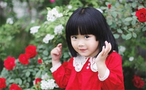 杨姓女孩子取名