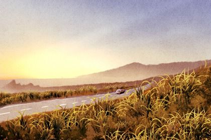 2027年01月13日提车黄历查询