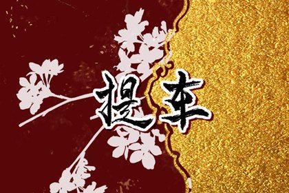 2029年08月25日提车黄历查询 2029年08月25日提车黄历查询