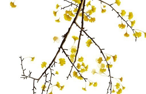 今天农历二〇二六年七月十九黄历室内装修不推荐吗,装修吉日