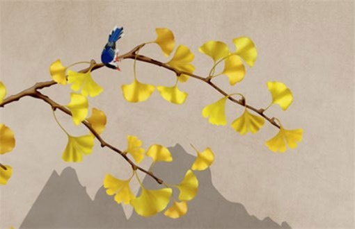 今日农历二〇二八年九月廿八黄历室内装修不适宜吗,装修吉日